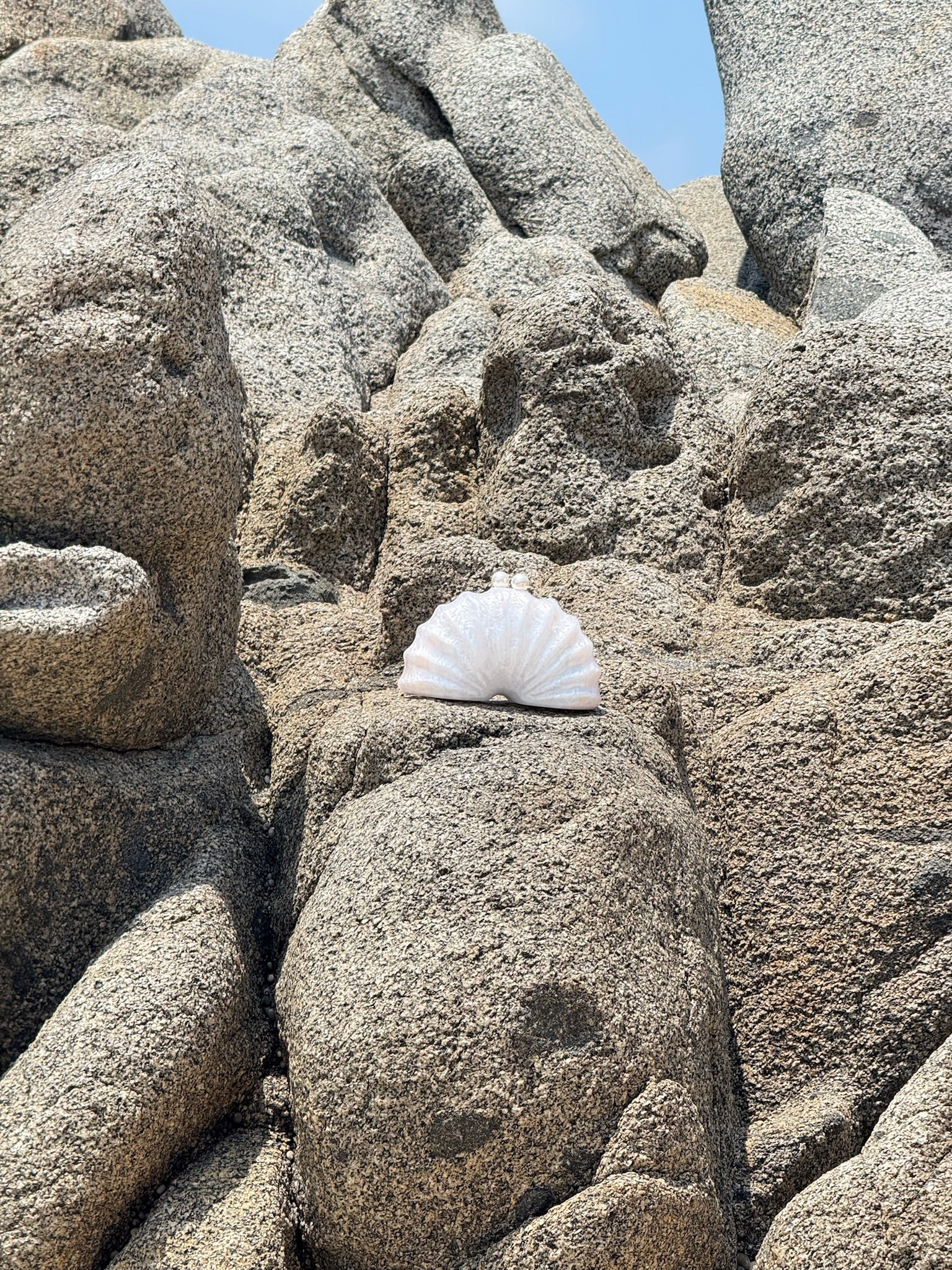 Bolsa Caracol