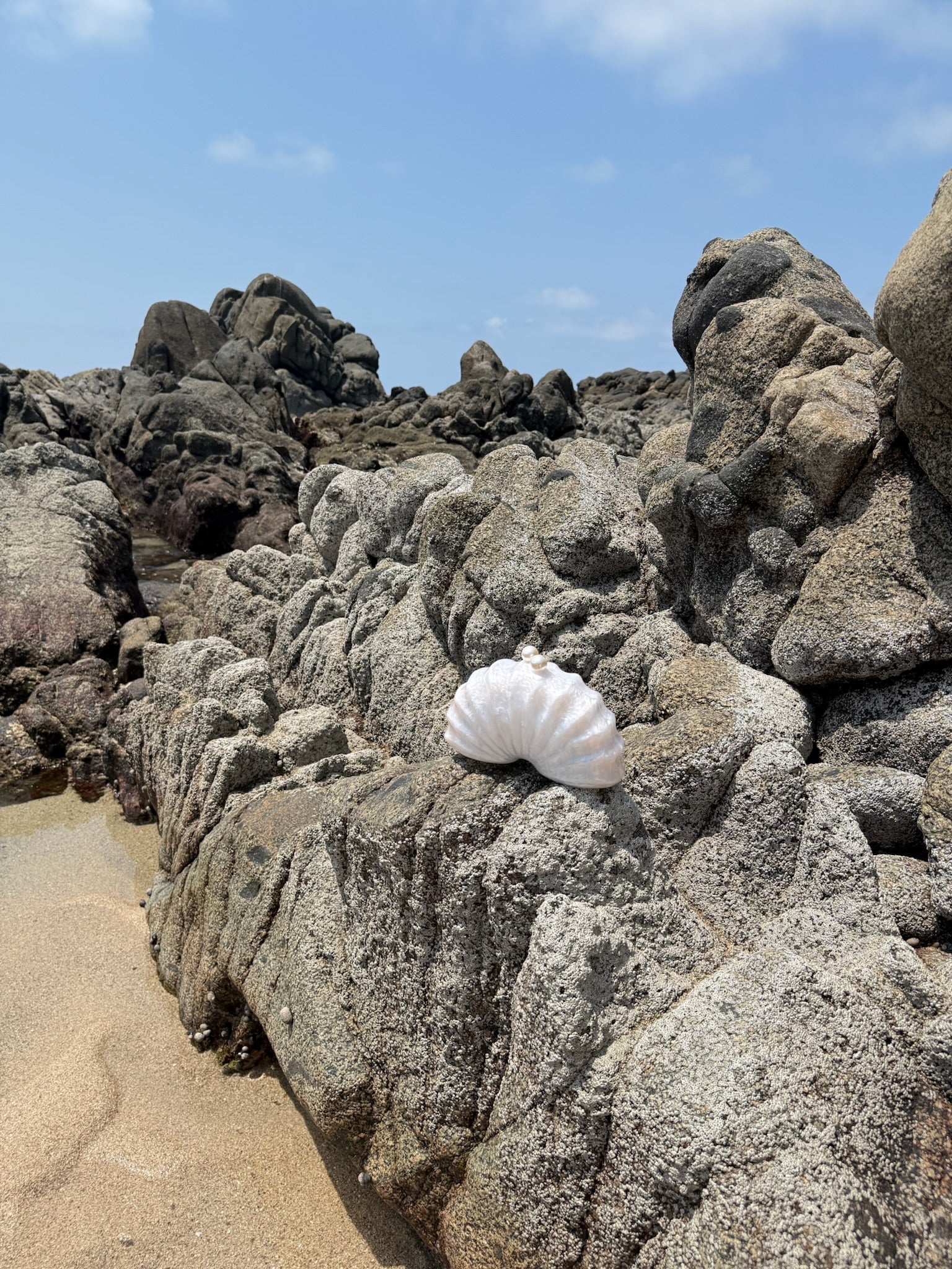 Bolsa Caracol