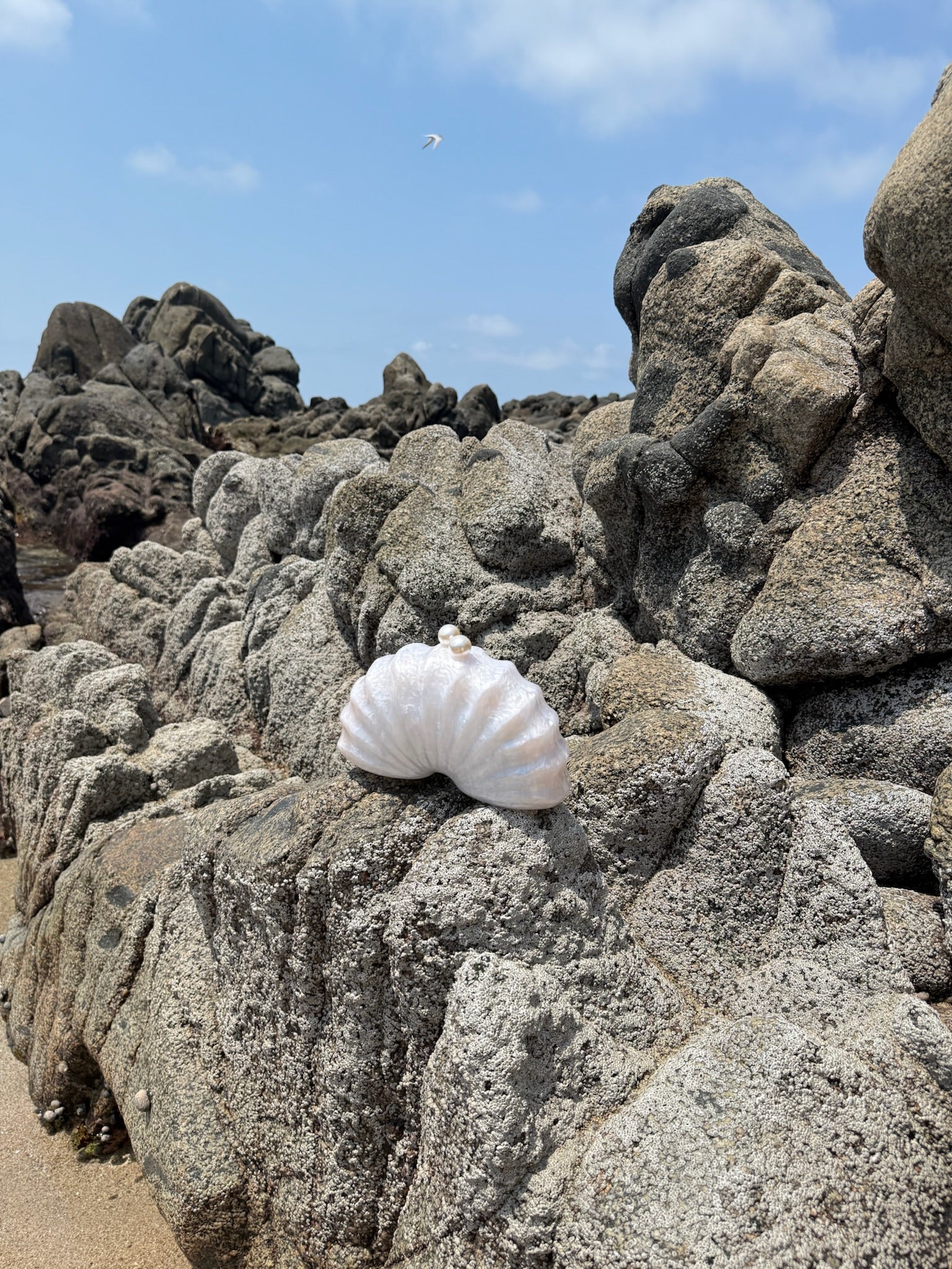 Bolsa Caracol