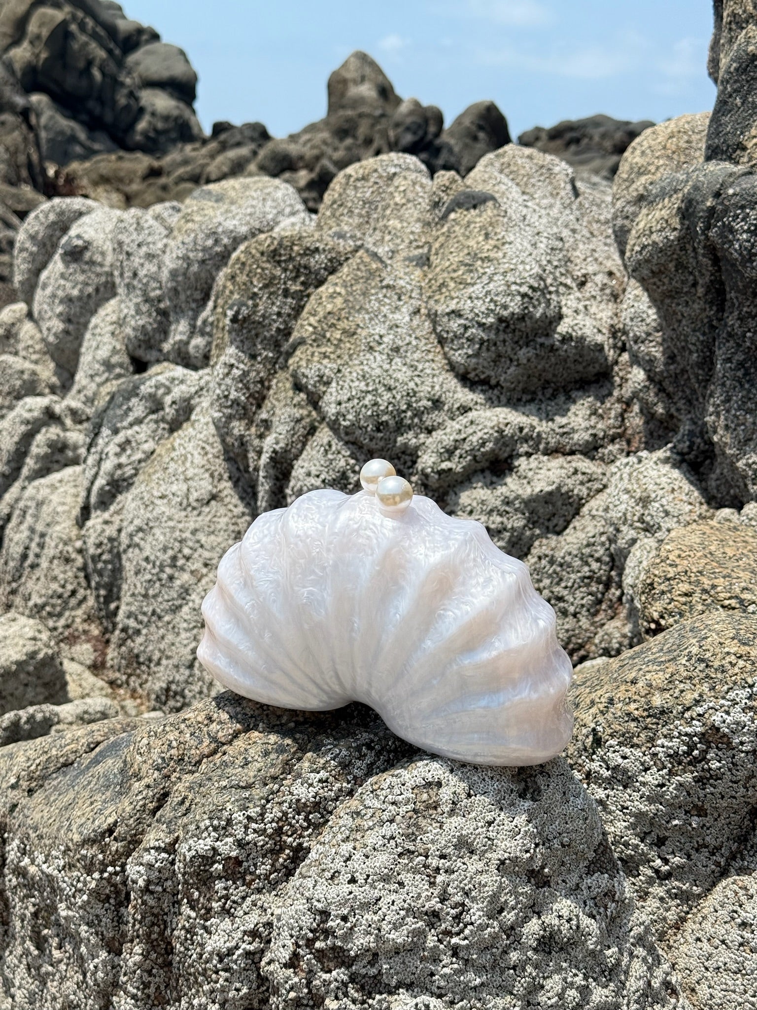 Bolsa Caracol